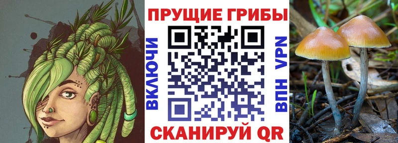 Псилоцибиновые грибы прущие грибы  Купить закладки  Кохма 